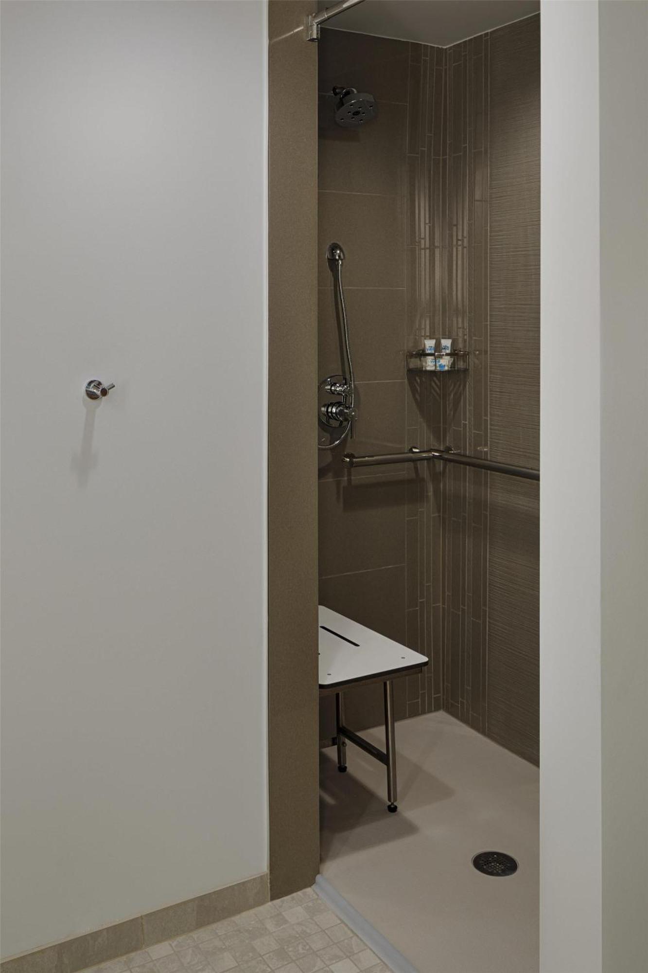 Den King Room Accessible Roll Shower