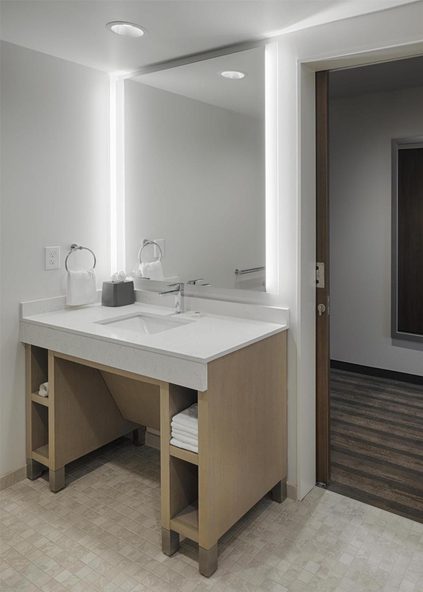 Den King Room Accessible Roll Shower