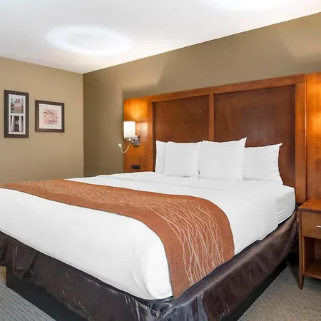 Comfort Inn North-Polaris-3