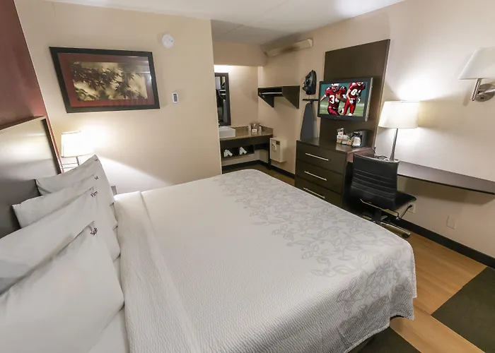 Red Roof Inn Plus+ Columbus-Ohio State University Osu